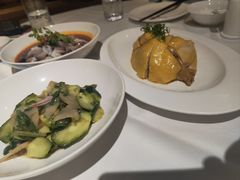-圆苑(金茂店)