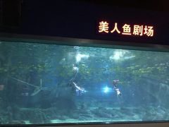 -福州罗源湾海洋世界旅游区