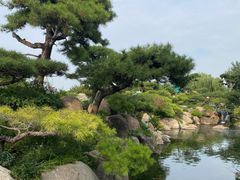 -罗红摄影艺术馆