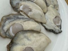 生蚝-濠轩阁特色生蚝火锅总店