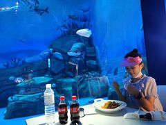 -海昌极光餐厅