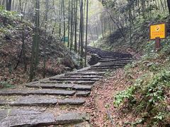 -午潮山国家森林公园