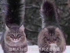 -大唐BINGO主题酒吧互动式KTV(苏宁生活广场店)