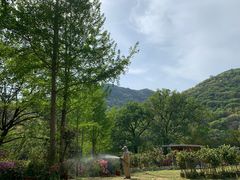-木兰云雾山