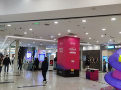 -凯德MALL(望京店)