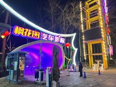 -枫花园汽车电影院(朝阳公园店)