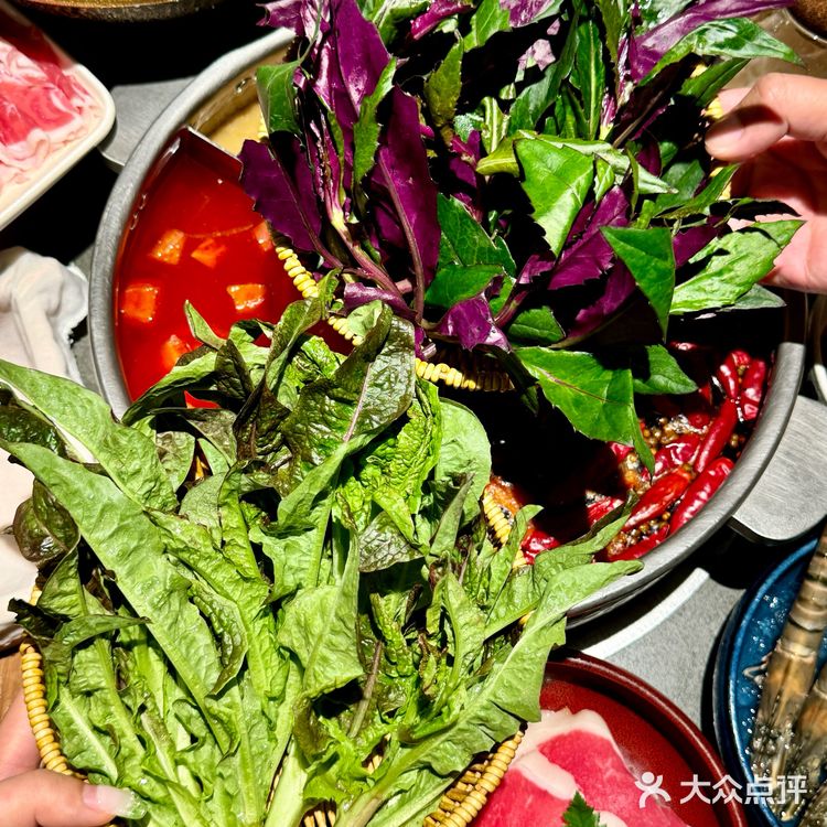 杭州西湖边！一周来了3次真不夸张！