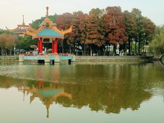 -金砂公园