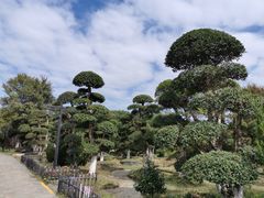 -武汉紫薇都市田园