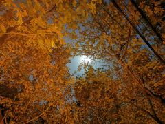 -上海安亭别墅花园酒店