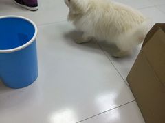 -惠康宠物医院(华能路店)