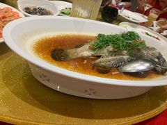 清蒸老虎斑-皇朝尊会(龙之梦大酒店)