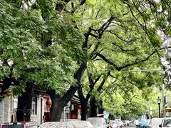 -北京国子监胡同