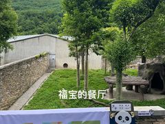 -卧龙中华大熊猫苑神树坪基地
