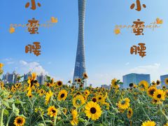 -广州塔