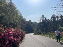-木兰云雾山