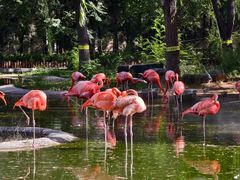 -石家庄市动物园