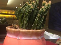 -海口绿发希尔顿酒店-田园汇自助餐·三文鱼·海鲜