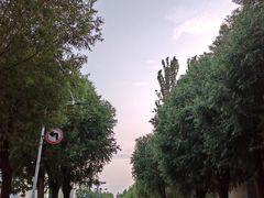 -吉林大学(前卫南区)