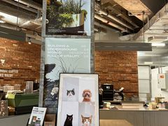 大堂-KUDDO COFFEE(深圳湾总部)