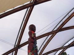 -怀托摩萤火虫洞