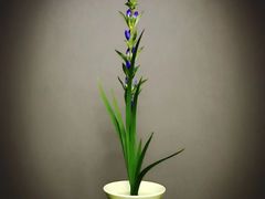-荷兰布尔玛国际花艺学院