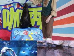 -南昌海洋公园