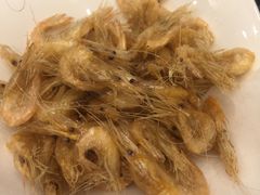 -一本钓鲔鱼屋