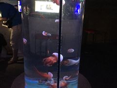 -石家庄极地海洋世界