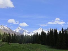 -伊犁河风景区
