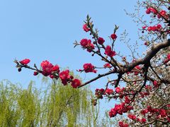 -海棠花溪(元大都城垣遗址公园)