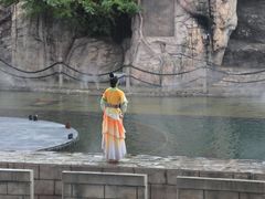 -杭州宋城