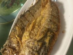 香煎黄花鱼-天宝食坊·啫啫煲大排档(西华路店)