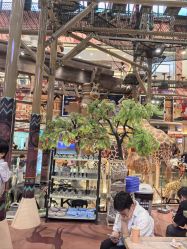 -卡通尼·Safari非洲探索乐园·生日会(金桥国际商业广场店)