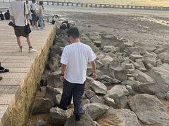 -宝安西湾红树林湿地公园