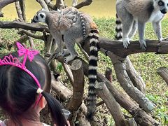 -泉州海丝野生动物世界