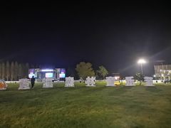 -黄海国家森林公园