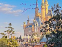 -上海迪士尼度假区