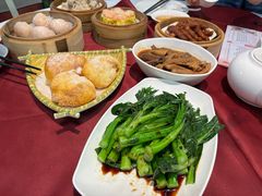 白灼田园菜心-金苑海鲜酒家(新港中路店)