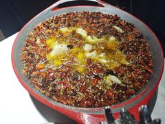 -雲蜀龙阁·金牌水煮鱼(方庄店)