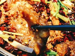 -老板恋上鱼(高新万达店)