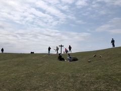 -大姆山草场