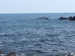 -龙头岩(Dragon Head Rock)
