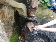 -呀诺达热带雨林
