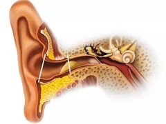-AudioNova 海之声助听器峰力助听器索诺瓦自营店(北京店)