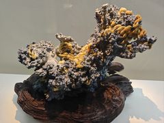 -杭州工艺美术博物馆