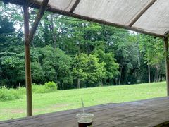 -南宁良凤江国家森林公园