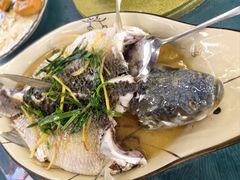 -古榕农庄·桑拿簸箕菜·招牌泥焗鸡(清远长隆店)