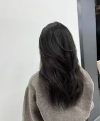 -YESIDO椰岛造型