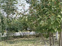 -张家湾公园